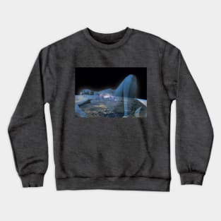 Nut Crewneck Sweatshirt